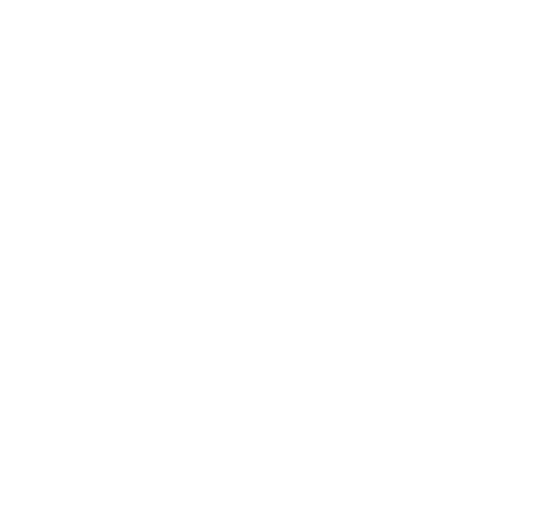 GM Pro